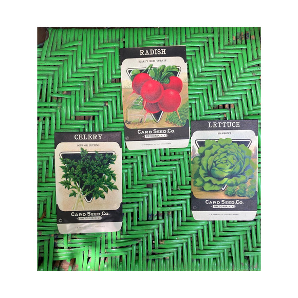 Antique SEED Packets - 1920s Lithographed Seed Packs; Card Seed Co., Fredonia NY - Picture 1 of 7